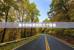 属牛的嫁娶忌的三个属相，属牛的婚嫁