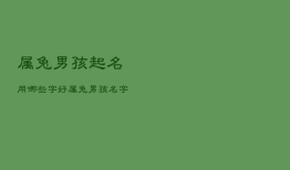 属兔男孩起名用哪些字好，属兔男孩取名字