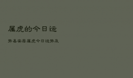 属虎的今日运势易安居，属虎今日运势及财运