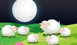 79年属羊和属狗的相配吗(解析星座专家揭秘)