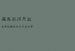 属兔农历
月出生命运，属兔农历9月出生命运如何