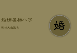 婚姻属相八字配对大全 很准
