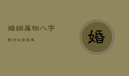 婚姻属相八字配对大全 很准