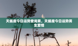 天蝎座今日运势查询男，天蝎座今日运势男生爱情