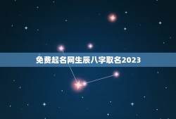 免费起名网生辰八字取名2023(为您的宝宝取一个好名字)