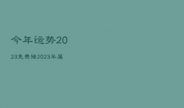 今年运势2023免费猪，2023年属猪运势
