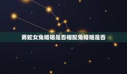 男蛇女兔婚姻是否相配兔婚姻是否(如何选择)