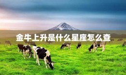金牛上升是什么星座怎么查(轻松掌握星座查询技巧)