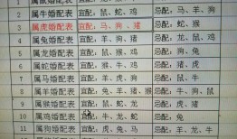 牛羊婚配绝佳2018，属相婚配狗配牛如何破解