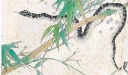 属蛇人二零一九年的运势，1965年属蛇人晚年好