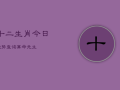 十二生肖今日运势查询算命先生，十二生肖运程与财运的查询