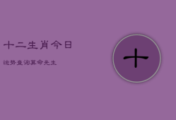 十二生肖今日运势查询算命先生，十二生肖运程与财运的查询