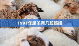 1991年属羊有几段婚姻(命运多舛探究属羊人的婚姻经历)