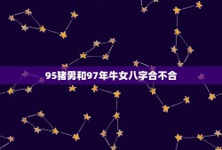 95猪男和97年牛女八字合不合(如何看待这对姻缘)