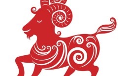 属羊女跟属羊男的婚姻配吗(星座专家揭秘)