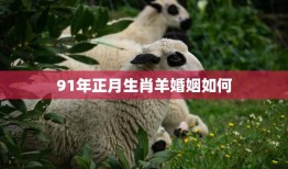 91年正月生肖羊婚姻如何(幸福美满还是波折重重)