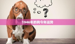 1946年的狗今年运势(狗年大吉财运亨通事业顺利)