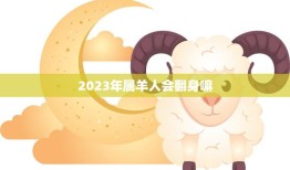 2023年属羊人会翻身嘛(解析属羊人的2023运势)
