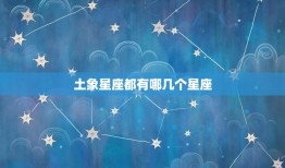 土象星座都有哪几个星座(探秘四大稳健星座)