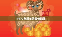 1977年属羊的最佳配偶(如何选择)
