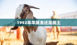 1992年羊属金还是属土(解析黄历中的生肖五行属性)