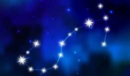 土象星座都有哪几个星座(探秘四大稳健星座)