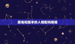 属兔和属羊的人相配吗婚姻(十二生肖配对指南)