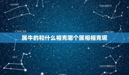 属牛的和什么相克哪个属相相克呢(属相相克大介绍)