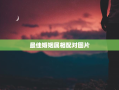 最佳婚姻属相配对图片，最佳婚配