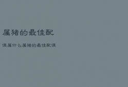 属猪的最佳配偶属什么，属猪的最佳配偶属相是什么属相