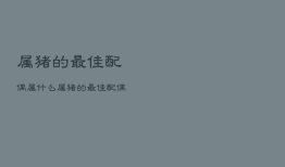 属猪的最佳配偶属什么，属猪的最佳配偶属相是什么属相