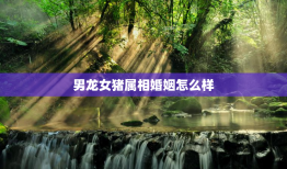 男龙女猪属相婚姻怎么样，男龙女猪配吗?双方