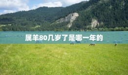 属羊80几岁了是哪一年的(详解属羊人的年龄计算方法)