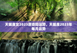 天蝎座女2023唐绮阳运势，天蝎座2023年每月运势
