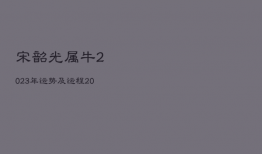宋韶光属牛2023年运势及运程，2023年属牛人的运势运程大全
详解