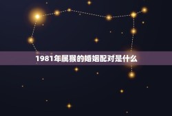 1981年属猴的婚姻配对是什么(如何选择伴侣)