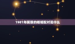 1981年属猴的婚姻配对是什么(如何选择伴侣)