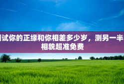 测试你的正缘和你相差多少岁，测另一半的相貌超准免费