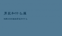 男鼠和什么属相配对好婚姻，男鼠和什么生肖最配婚姻