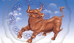牛年属牛人的全年运势，1997年生的属牛今年运势怎么样