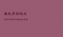 属兔男孩起名字宜用哪些字，属兔男孩取什么名字好