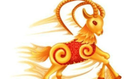 属羊男和什么属相最配对，91年属羊的男和什么属相最配