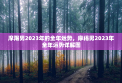 摩羯男2023年的全年运势，摩羯男2023年全年运势详解图