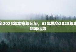 兔2023年本命年运势，63年属兔2023年本命年运势