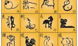 十二生肖年份表，万年历十二生肖