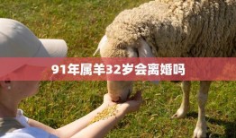 91年属羊32岁会离婚吗(解析属羊人的婚姻状况)