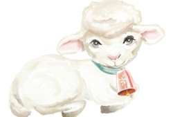 67年属羊男财运方位如何(探秘财富之门)