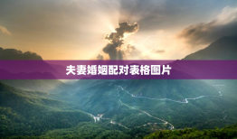夫妻婚姻配对表格图片，夫妻配对测试婚姻