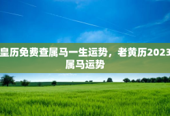 老皇历免费查属马一生运势，老黄历2023年
属马运势