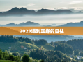 2023遇到正缘的日柱，2023遇到正缘的日柱戊子